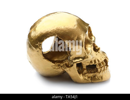 Golden human skull on white background Stock Photo