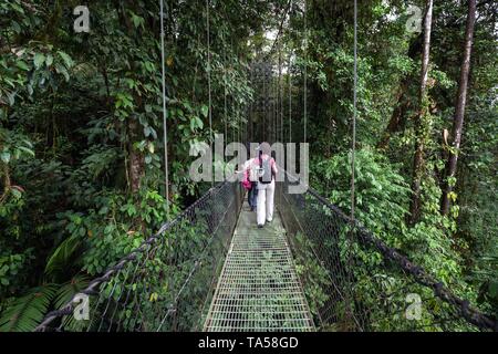 Hikers on a suspension bridge in the tropical rainforest, Mistico Arenal Suspension Bridge Park, Mistico Arenal Hanging Bridges Park, Province Stock Photo