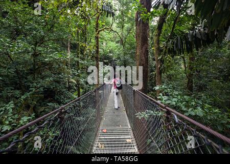 Female hiker on a suspension bridge in the tropical rainforest, Mistico Arenal Suspension Bridge Park, Mistico Arenal Hanging Bridges Park, Alajuela Stock Photo