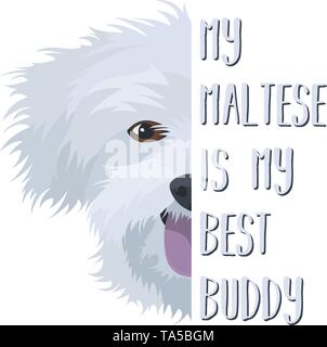 Illustration dog Maltese - My Maltese is my best friend. Puppy dog ​​eyes, wagging tail, smiling, barking. Perfect for dog lovers and dog owners. Stock Vector