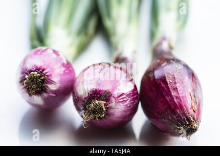 Purple onions from Tropea, calabria Stock Photo