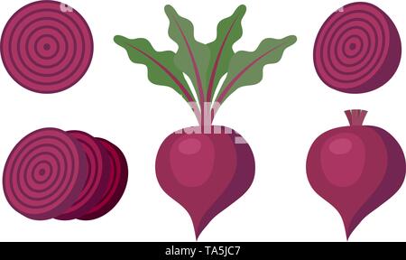 vector whole beet root with leaves and without leaves, half of beet and slices of beet isolated on white background. beetroot vegetable for healthy ve Stock Vector