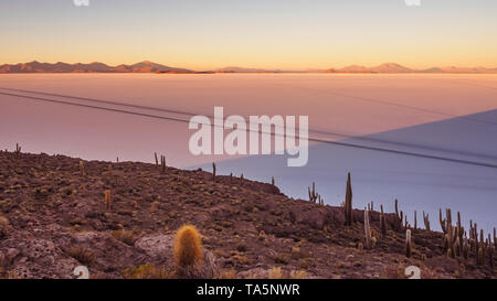 View of the Salar de Uyuni at sunrise from the island Incahuasi in Bolivia. Cactus on the island Stock Photo