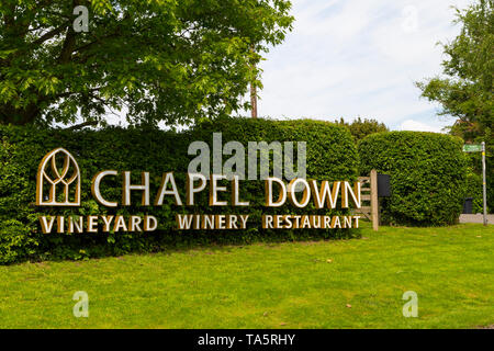 Chapel down vineyard winery restaurant, small hythe rd, tenterden, kent, uk Stock Photo