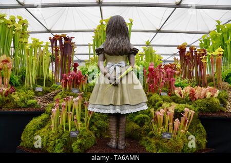 scenes from the 2019 rhs chelsea flower show in london england Stock Photo