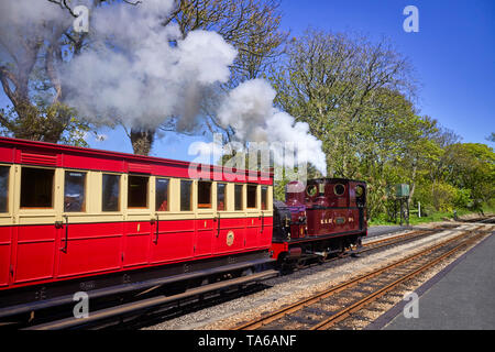 Steam engine Caledonia on the Isle of Man heritage railways at Castletown Station on its way to Douglas Stock Photo