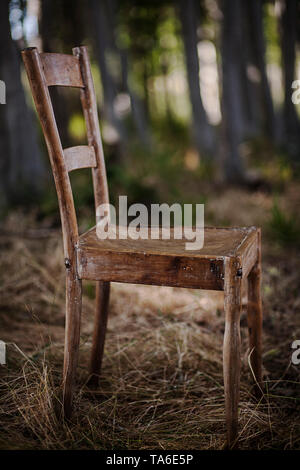 Wooden chair in forest Stock Photo
