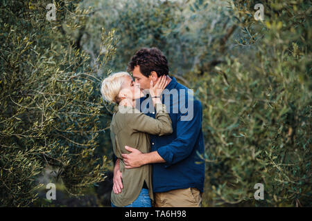 Young affectionate couple standing outdoors in olive orchard, kissing. Stock Photo