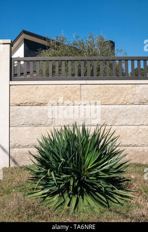 Granite stone fence with garden on front. Galicia, Spain Stock Photo