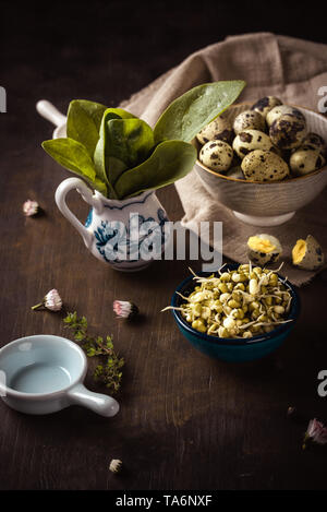 Vertical photo of several bowls on dark wooden board. Bowls contains mung bean sprouts, green spinach and spotted quail eggs. Juniper berries and dais Stock Photo