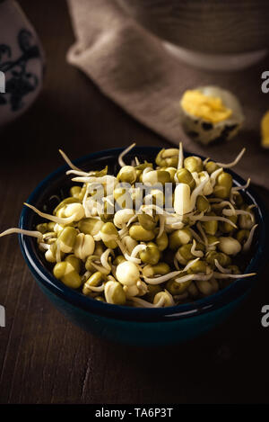 Vertical photo of blue bowl on dark wooden board. Bowl contains mung bean sprouts with green and white color. Single boiled quail egg is next to mung 