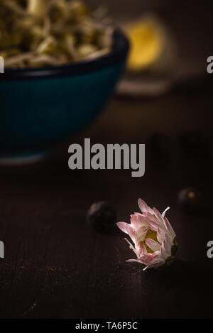Vertical photo of single daisy bloom with white and red color. Bloom is placed on dark wooden board with mung bean sprouts and quail eggs. Stock Photo