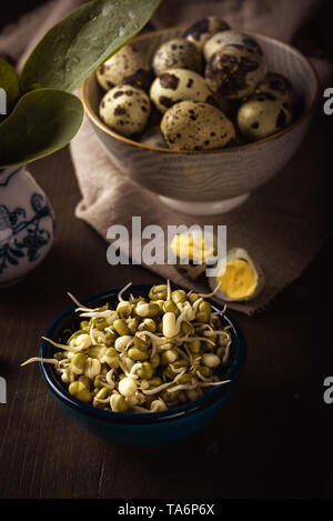 Vertical photo of several bowls on dark wooden board. Bowls contains mung bean sprouts, green spinach and spotted quail eggs. Bowls have various color Stock Photo