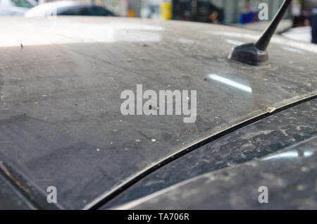 Stains on the black car roof Stock Photo