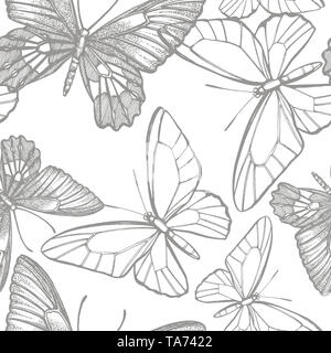 Butterflies silhouettes. Butterfly icons isolated on white background. Graphic illustration. Seamless patterns Stock Photo