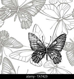 Butterflies silhouettes. Butterfly icons isolated on white background. Graphic illustration. Seamless patterns Stock Photo