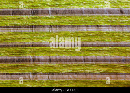 green striped synthetic woven upholstery fabric close-up texture and background Stock Photo