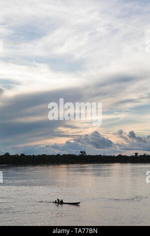 View of the Javari River in the Amazon rain forest in Brazil Stock ...