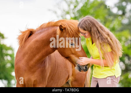 Icelandic Horse. Girl smooching with chestnut mare. Austria Stock Photo