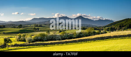 The Crake Valley from Lowick Green bathed in early evening sunlight. Stock Photo