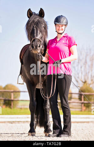 Pure Spanish Horse, Andalusian. Black stallion with rider standing on a riding place. Germany Stock Photo
