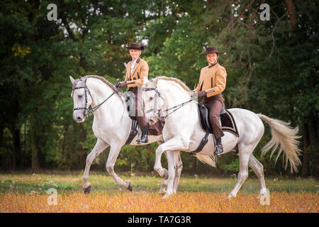 Pure Spanish Horse, PRE, Cartusian Andalusian Horse. Riders in traditional dress on gray stallions performing a Pas Des Deux. Germany Stock Photo