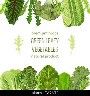 Popular Green leafy vegetables. Label set with text on stripe. text, copt space Stock Vector