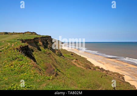 A view of the high cliffs with the Paston Way long distance path on the North Norfolk coast at Overstrand, Norfolk, England, United Kingdom, Europe. Stock Photo