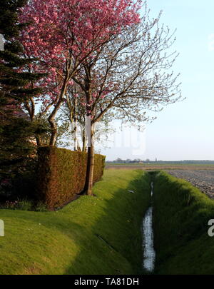 HDR picture of a Dutch rural landscape on a sunny day in may Stock Photo