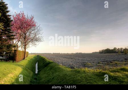 HDR picture of a Dutch rural landscape on a sunny day in may Stock Photo
