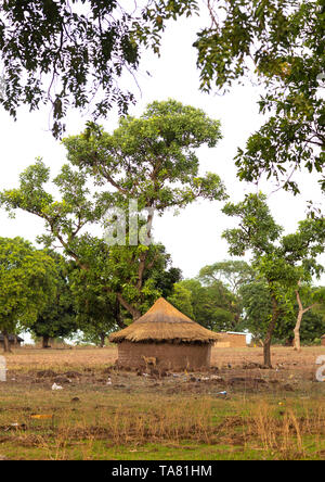 Huts in a Peul tribe village, Savanes district, Boundiali, Ivory Coast Stock Photo