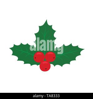 A Christmas holly berry mistletoe a plant that grows on a range of trees including willow apple and oak trees with red berries and broad green leaves Stock Vector