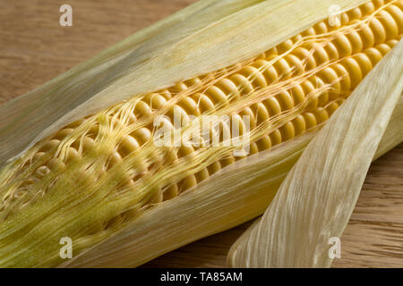 Corn on the cob and corn silk close up Stock Photo