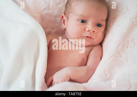 Cute adorable newborn baby girl in a bed and wrapped in  pink blanket. New born child, little girl looking surprised at the camera. Family, new life,  Stock Photo