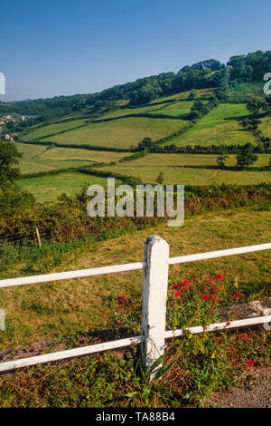 Devon UK, peaceful countryside view across arable land with dividing hedges, Summer sun Stock Photo