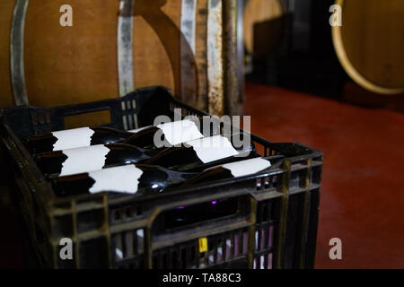 Close-up of Red Wine bottles and Wooden Barrels in Wine Cellar Stock Photo
