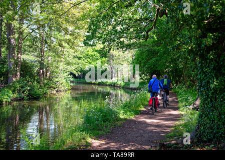 Cyclists on the towpath on the River Wey Navigation canal on a summers day, Byfleet Surrey England UK Stock Photo