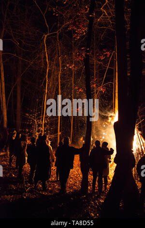 Group of People Standing Around Bonfire at Night Stock Photo