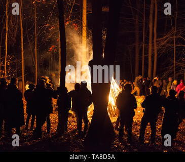 Group of People Standing Around Bonfire at Night Stock Photo