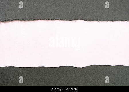 Torn gray paper strip white background straight flat Stock Photo