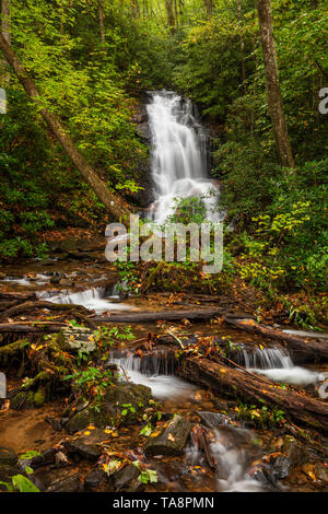 Log Hollow Falls, Pisgah National Forest, Blue Ridge Mountains, North Carolina Stock Photo