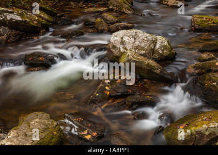 Smith Creek, Anna Ruby Falls, Chattahoochee National Forest, Helen, Georgia Stock Photo