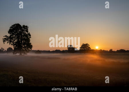 Sunrise in Berkshire, mist lying on the fields, with the glow of the morning sun shining through and reflecting off the trees. Taken in May at 5:30am Stock Photo