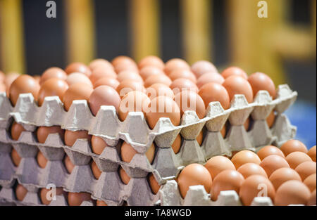 egg in box / Fresh eggs packaging on tray from chicken farm Stock Photo