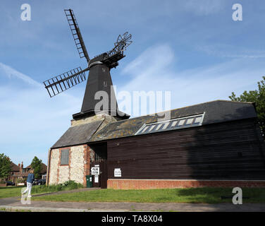 A lady arrives to cast her votes at a polling station at West Blatchington Windmill near Hove, as voters head to the polls for the European Parliament election. Stock Photo