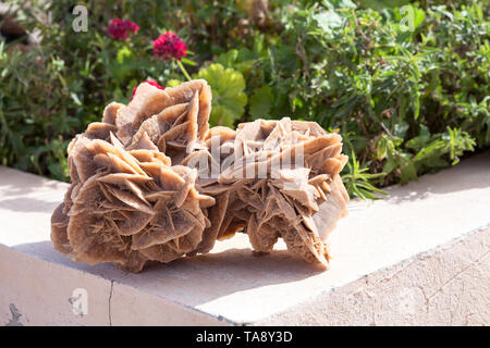 Saharan gypsum desert rose inTunisia as gift or souvenir, rose-like formations, close up view Stock Photo