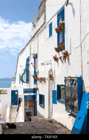 SIDI BOU SAID, TUNISIA, AFRICA-CIRCA MAY, 2012: Beautiful facades of houses are in central part of Sidi Bou Said. Town itself is tourist attraction an Stock Photo