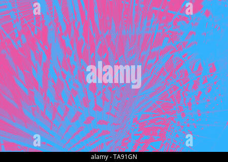 Palm leaves abstract background. Toned with neon pink and light blue Stock Photo