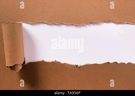 Torn brown paper center strip white background curled edge Stock Photo