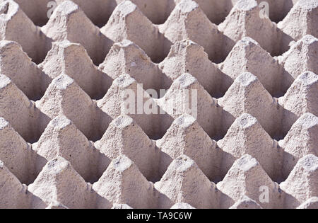 Top view surface texture of empty cardboard egg carton box. Concept of Natural recycle background, selective focus Stock Photo